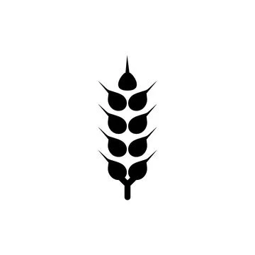 Flat vector line icon of barley, rye, wheat, vector illustration 스톡 일러스트
