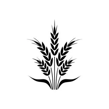 Flat vector line icon of barley, rye, wheat, vector illustration Stock Illustration