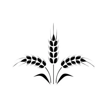 Flat vector line icon of barley, rye, wheat, vector illustration Stock Illustration