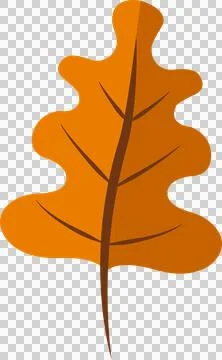 Flat vector oak leaf is floating with lobed outline and brown veins on Stock Illustration