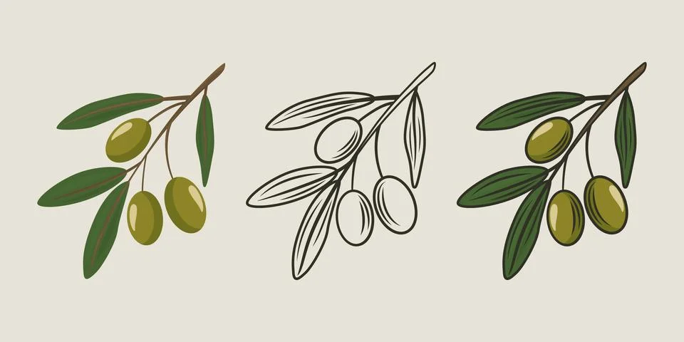 Flat Vector Olive Branch with Green Olives Set. Cartoon Hand Drawn Olive Tree Stock Illustration