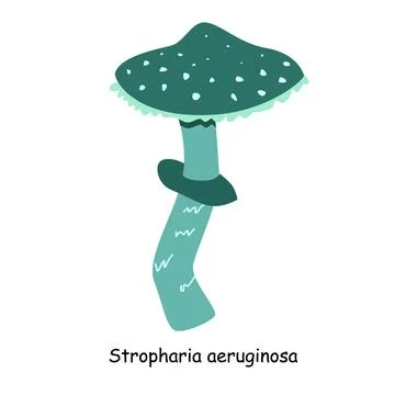 A flat vector of a poisonous mushroom isolated Stock Illustration