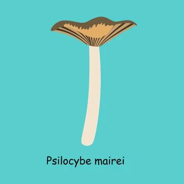 A flat vector of a poisonous toadstool mushroom isolated 스톡 일러스트