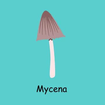 A flat vector of a poisonous toadstool mushroom isolated Stock Illustration
