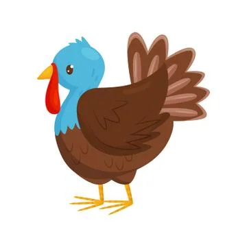 Flat vector portrait of turkey with blue head and brown body. Farm bird. Poultry Illustration