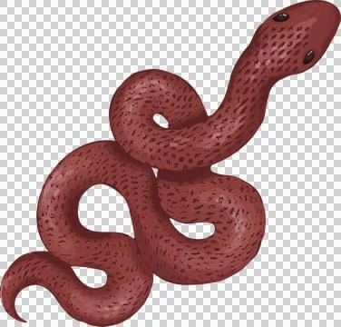 Flat vector red snake is coiling on transparent bg, raised dark-eyed head, Stock Illustration