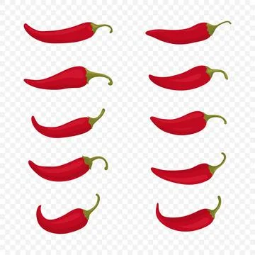 Flat Vector Red Whole Fresh and Hot Chili Pepper Icon Set Closeup Isolated Stock Illustration
