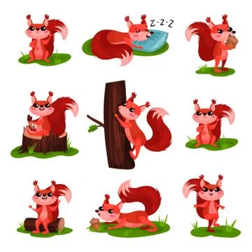 Flat vector set of cartoon squirrel in different actions. Sleeping, climbing up Stock Illustration