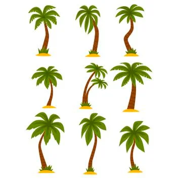 Flat vector set of cartoon tropical palms. High trees with long green leaves and Stock Illustration