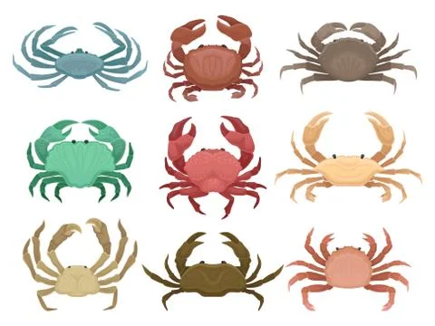 Flat vector set of colorful crabs. Marine animals with claws. Elements for Stock Illustration