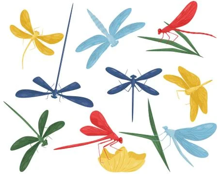 Flat vector set of colorful dragonflies. Small fast-flying creatures with long Illustrazione stock