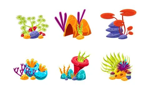 Flat vector set of compositions with marine algae and stones. Cartoon elements Stock Illustration
