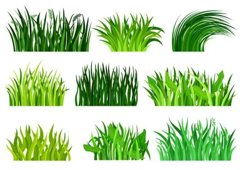 Flat vector set of different decorative grass borders. Bright green wild herb 库存插图