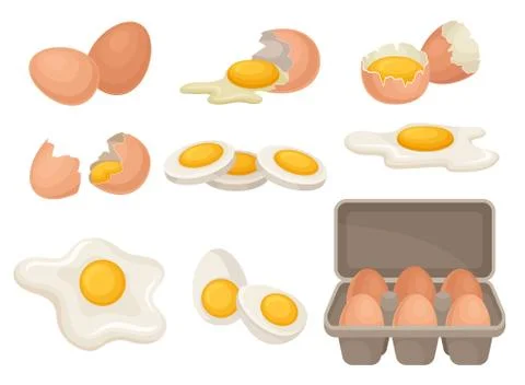 Flat vector set of eggs in different forms raw, boiled and fried. Organic farm Stock-Illustration