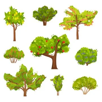 Flat vector set of fruit trees and berry bushes. Agricultural plants. Elements Illustrazione stock