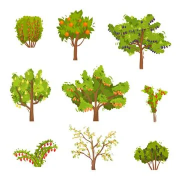 Flat vector set of fruit trees and berry bushes. Agricultural plants. Natural Illustrazione stock