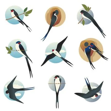 Flat vector set of martlets or barn swallows with circle shape background. Wild Stock Illustration