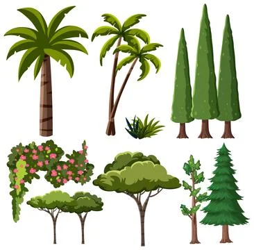 Flat vector set of palm, cypress, and pine trees with flowering shrubs on whi Stock-Illustration