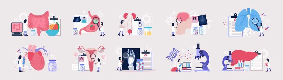 Flat vector set of sections of medicine Stock Illustration