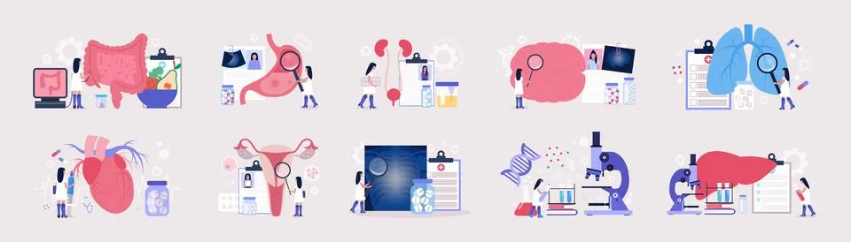 Flat vector set of sections of medicine Stock Illustration