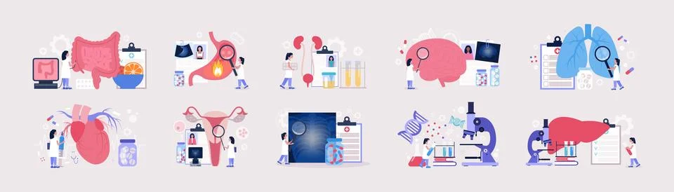 Flat vector set of sections of medicine Ilustração Stock
