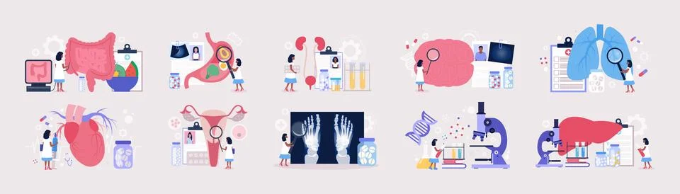 Flat vector set of sections of medicine Stock Illustration