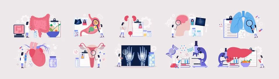 Flat vector set of sections of medicine Stock Illustration
