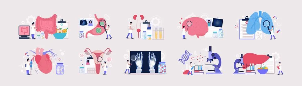 Flat vector set of sections of medicine Stock Illustration