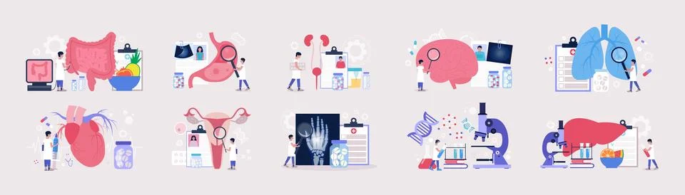 Flat vector set of sections of medicine Stock Illustration