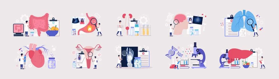 Flat vector set of sections of medicine Stock Illustration