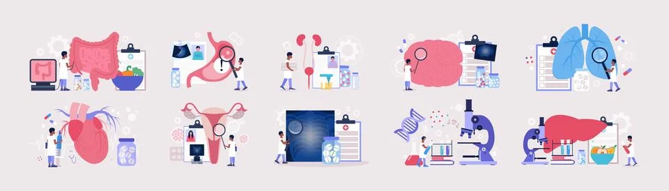 Flat vector set of sections of medicine Stock Illustration