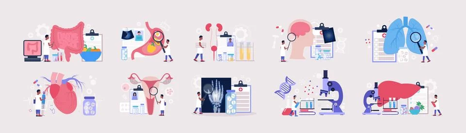 Flat vector set of sections of medicine Stock Illustration