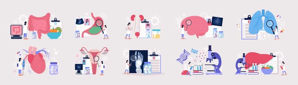 Flat vector set of sections of medicine Stock-Illustration