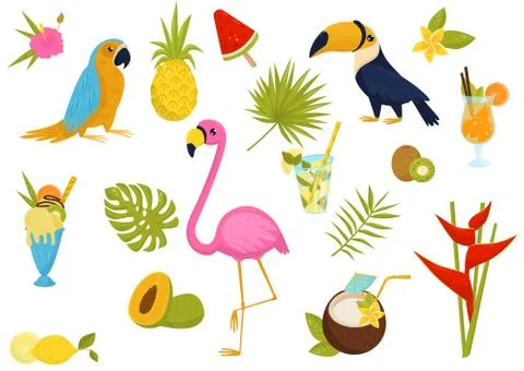 Flat vector set of tropical elements. Beautiful birds, tasty cocktails and Stock Illustration
