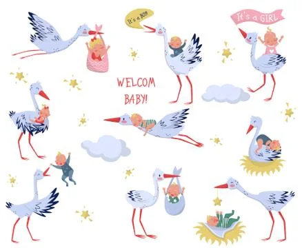 Flat vector set of white storks with babies. Lovely birds and newborn kids 스톡 일러스트