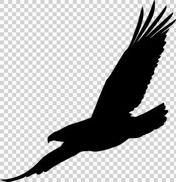 Flat vector silhouette is showing raptor spreading wings with forked tail on Stock Illustration