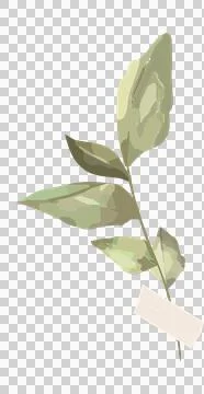 Flat vector sprig is being shown on transparent background with five variegated 库存插图