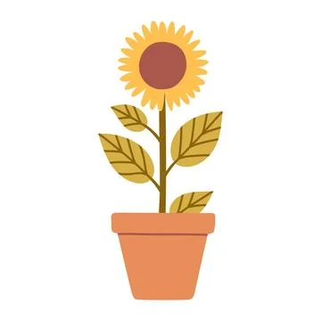 Flat vector sunflower in a pot, minimal and cute botanical illustration Stock Illustration