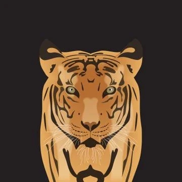 Flat vector tiger Illustrazione stock