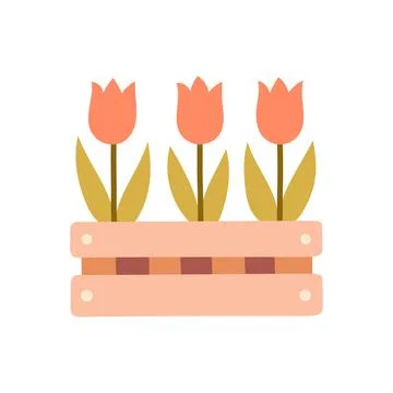 Flat vector wooden crate with tulip flowers. Minimal spring floral box isolated Stock Illustration