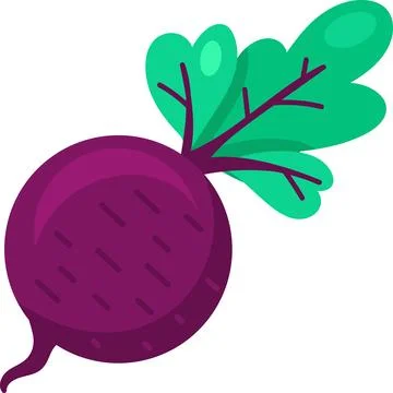 Flat Vegetable Organic Turnip Icon Stock Illustration