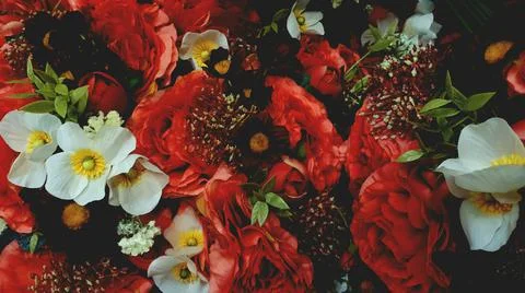 Flat view of different colored flowers in vintage style. Stock Photos