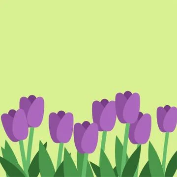 Flat violet tulips postcard Illustrazione stock