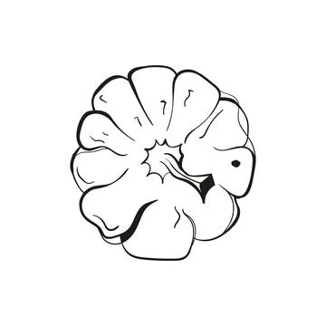 Flat Wheel Pumpkin Top View Line Art Vector Stock Illustration