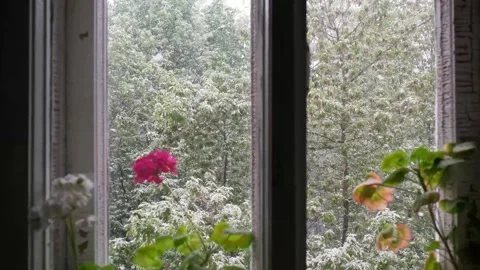 The flat window overlooks the street where it snows in May Stock Footage 281623243