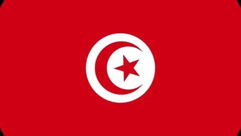 Flat World Flag Transition - Alpha Matte 스톡 동영상 71597706