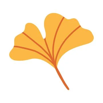 Flat yellow ginkgo biloba leaf vector isolated on white background. Elegant Stock Illustration
