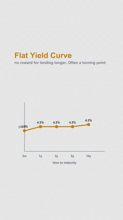 Flat Yield Curve Labeled Bond Market Chart Alpha 4K Vertical 9x16 Light 動画素材 339633574