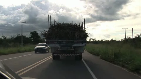 Flatbed Truck Loaded with Sugar Cane 스톡 동영상 19030186