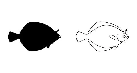 Flatfish silhouette and outline vector illustration on white background Stock Illustration
